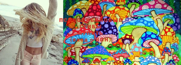 ECSTASY Кодинск