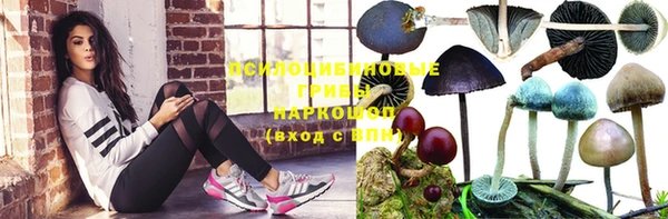 герыч Козельск