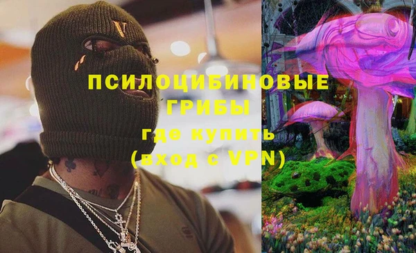 бошки Козловка