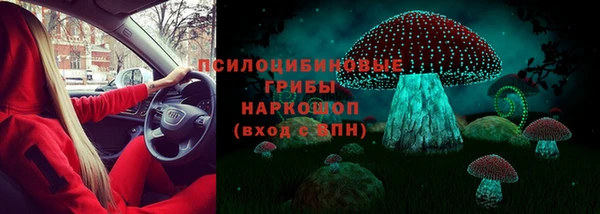 герыч Козельск