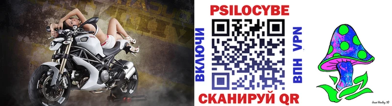 Купить где  Лебедянь  Псилоцибиновые грибы GOLDEN TEACHER 